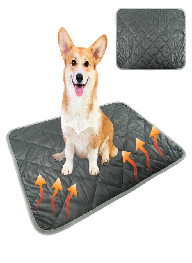 Qpets® Winter Warm Pet Bed, Thermal Padded Mat with Non-Slip Bottom for Dogs & Cats, Ultra-Soft Reversible Fleece & Polyester Sleeping Pad for Indoor Crates & Furniture - Image 1
